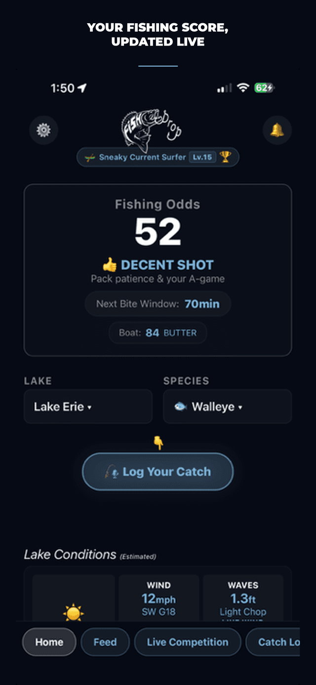 Bite Score