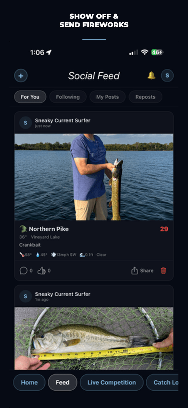 Social Feed